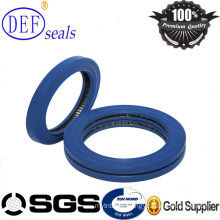 PTFE Spring Seals Used in Valve Strict Environment